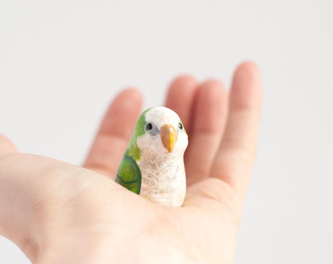 Quaker Parrot Miniature | Monk Parakeets | Cute Parrot | Exotic Pet | Gift for Bird Mom| Bird Figurine