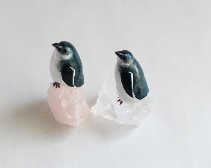The Carriers of Little Achievements: Little Blue Penguins on Crystals | Fairy Penguin | Quartz Crystal | A Creature of One Wilderness