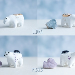 Choose Your Zodiac Polar Bear Astrology Bears Healing Crystals Zodiac Constellations Zodiac Symbols A Creature of One Wilderness image 8