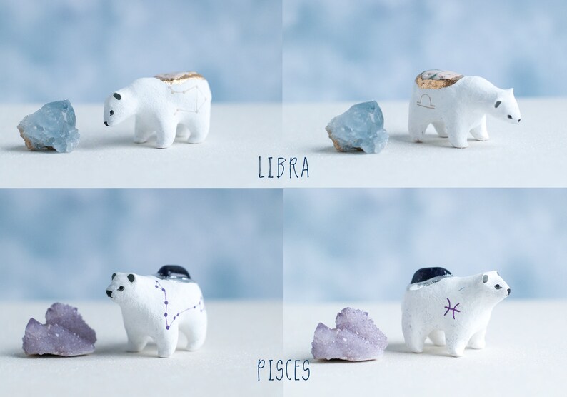 Choose Your Zodiac Polar Bear Astrology Bears Healing Crystals Zodiac Constellations Zodiac Symbols A Creature of One Wilderness image 8