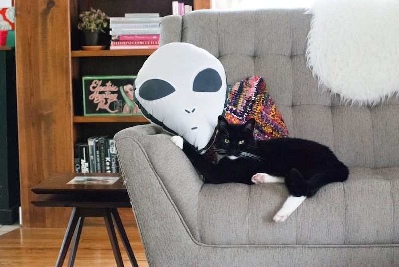 May include: A gray couch with a black cat and a white alien-shaped pillow. The couch has a colorful patterned throw pillow and a white fluffy pillow. The cat has white paws and a white patch on its chest.