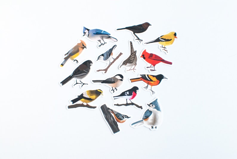 Song Bird Stickers Set of 14 Songbird Stickers 2 Matte Die Cut Bird Stickers image 1