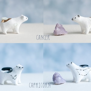 Choose Your Zodiac Polar Bear Astrology Bears Healing Crystals Zodiac Constellations Zodiac Symbols A Creature of One Wilderness image 6