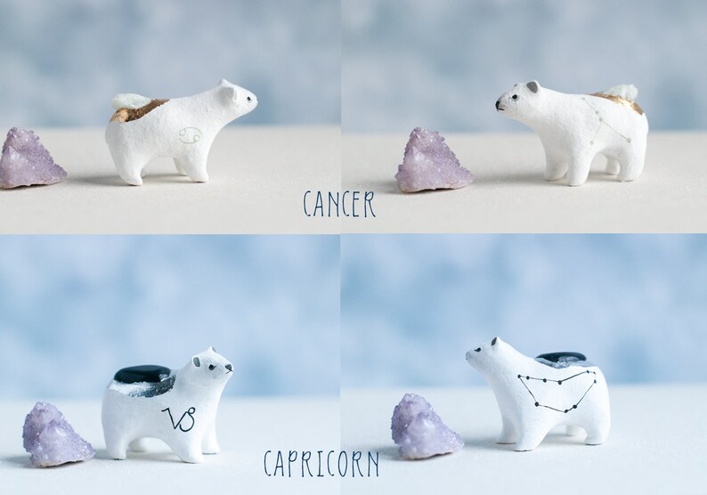 Choose Your Zodiac Polar Bear Astrology Bears Healing Crystals Zodiac Constellations Zodiac Symbols A Creature of One Wilderness image 6