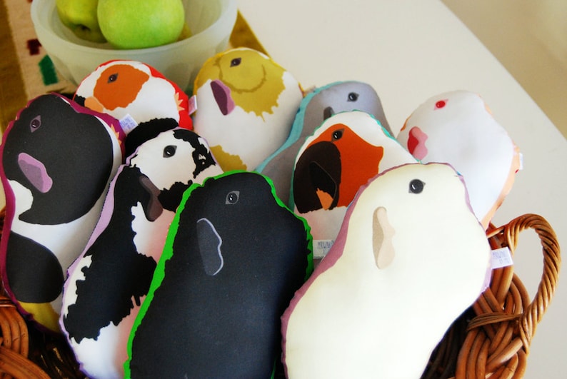 Choose Your Guinea Pig Plushie / Guinea Pig Pillow / Plush ...