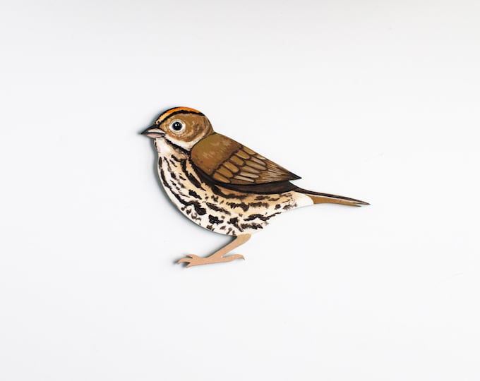 Ovenbird Wooden Wall Art | Bird Wall Hanging | 5" Wooden Bird Wall Hanging | For Bird Nerds