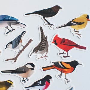 Song Bird Stickers Set of 14 Songbird Stickers 2 Matte Die Cut Bird Stickers image 2