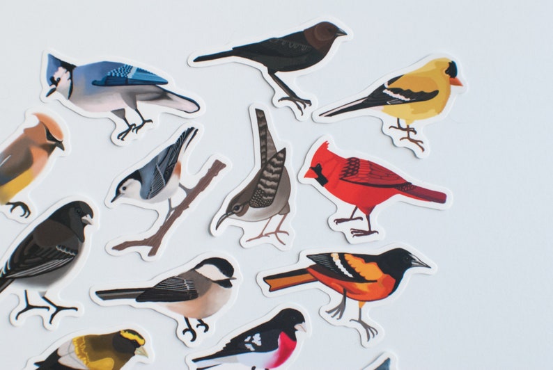 Song Bird Stickers Set of 14 Songbird Stickers 2 Matte Die Cut Bird Stickers image 2