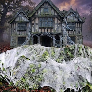 May include: A multi-storey timber-framed house with a dark stone facade, covered in white synthetic spider webs and numerous black plastic spider decorations. The structure features multiple windows, a central arched entryway, and a dark, moody sky.