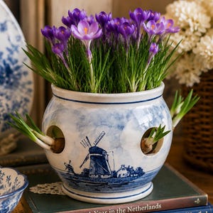 May include: A white ceramic bulb planter featuring blue hand-painted windmill illustrations and several circular openings. The pot is filled with vibrant purple crocus flowers and green stems, with additional small green sprouts emerging from the side holes.
