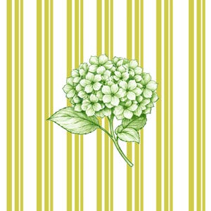 Puede incluir: Ilustración detallada de una flor de hortensia verde con hojas y tallo. La flor está centrada en un fondo de rayas verticales en blanco y un color verde amarillento pálido. La obra de arte tiene un tema botánico.