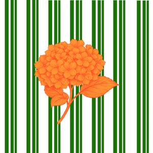 Puede incluir: Una flor de hortensia naranja con pétalos y hojas detallados, sobre un fondo de rayas verticales verdes y blancas. El estilo de ilustración recuerda al arte botánico.