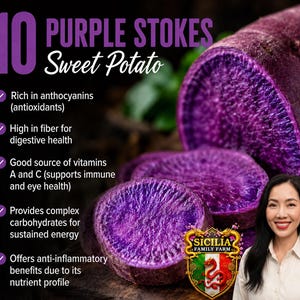 May include: A close-up of sliced purple sweet potatoes with the text "10 Purple Stokes Sweet Potato". The image highlights the nutritional benefits, including antioxidants, fiber, and vitamins A and C.