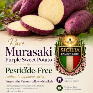 May include: Murasaki purple sweet potatoes with dark purple skin and creamy yellow-white flesh. The image includes text: Rare Murasaki Purple Sweet Potato, Pesticide-Free, Authentic Japanese variety, Sicilia Family Farm, and additional descriptive text.
