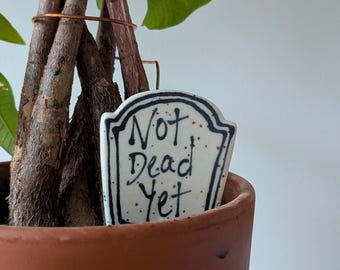 Not Dead Yet Planter Stake