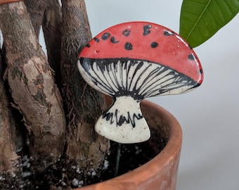 PLANTS/ GARDEN/ OUTDOOR