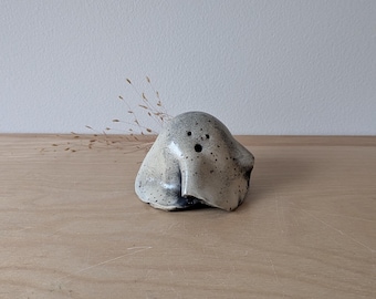 Farmhouse Ghost