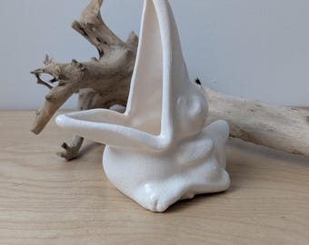 Pelican Catchall