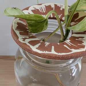 Freehand Drawn Handmade Ceramic Plant Propagation Jar Sitter