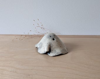 Farmhouse Ghost