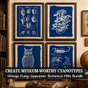 Puede incluir: Cuatro cuadros de pared con ilustraciones biológicas blancas sobre un fondo azul intenso. Las láminas muestran varios insectos, un grupo de setas, un búho y un escorpión junto a una araña y una mariposa, todo en estilo cianotipia.
