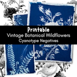 Printable Cyanotype Negatives, Wildflower Sun Print Templates, Botanical Transparency Designs, Cyanotype Digital Download