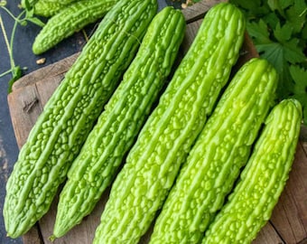 Green Dragon Bitter Melon Seeds | 5 gram