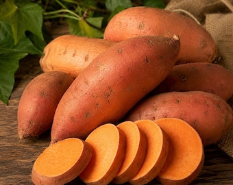 Patata dolce, 20 semi, varietà antica, non OGM, kit per la coltivazione biologica in orto.