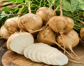 Thai Jicama 20 Seeds Heirloom Yam Bean Pachyrhizus erosus Non GMO Garden Planting