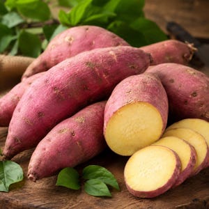 May include: A collection of raw sweet potatoes with reddish-purple skin and pale yellow flesh. Several whole, elongated tubers are arranged together, while one is sliced into thin, round discs, revealing the light-colored interior texture.