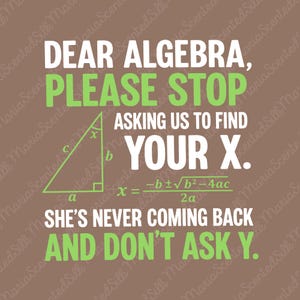 Puede incluir: Un estampado gráfico marrón con texto en blanco y verde claro que dice: Dear Algebra, please stop asking us to find your X. She's never coming back and don't ask Y. Incluye un triángulo rectángulo verde y la fórmula cuadrática.