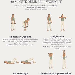 May include: Illustrated workout guide for a full-body dumbbell routine. The guide includes illustrations of exercises such as Romanian Deadlift, Upright Row, Glute Bridge, and Overhead Tricep Extension. Text provides instructions and muscle groups targeted.