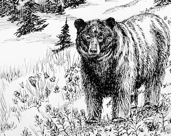 Entre las flores silvestres