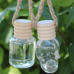 May include: Two clear glass car air fresheners with wooden tops and hanging cords. One is a simple bottle shape, the other is a skull. The background is blurred green foliage.
