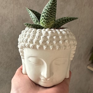 Buddha Head Planter | Concrete Face Planter | Small Succulent Pot | Minimal Zen Decor | Pastel Cement Planter | Indoor Plant Pot