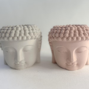 May include: Two Buddha head planters, one light gray and one dusty rose. Both have closed eyes and detailed curly hair. The planters are made of a matte material and are suitable for small plants or succulents.