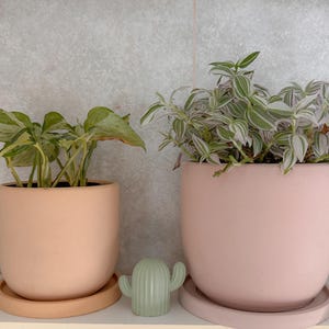 May include: Two potted plants in peach and pink ceramic pots with matching saucers. The plants have green and white variegated leaves. A small, light green cactus figurine sits between the pots.