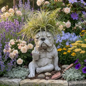 Lustiger französische Bulldogge Blumentopf, schrullige Schreibtischdekoration, mürrischer Hund Sukkulententopf, Neuheit Pflanzenhalter, wunderliches Geschenk für Tierliebhaber, Wohnakzent