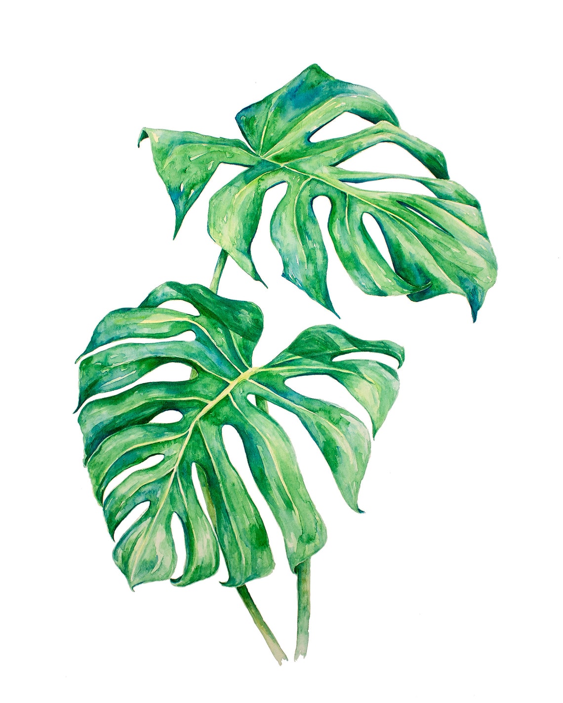 Botanical Leaf Portraits Set of 3 // Digital Downloads // Art Etsy