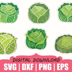 May include: Six green cabbage illustrations with white outlines on a white background. The cabbages vary in shape and shading, with the text "DIGITAL DOWNLOAD" and file type abbreviations in a pink banner below.