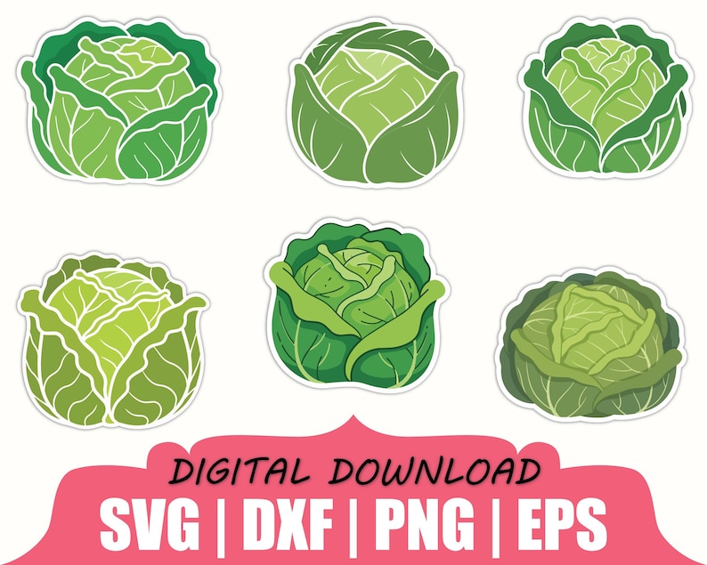 Green Cabbage Sticker Svg, Dxf, Png - Etsy