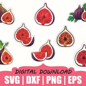 May include: A collection of fig illustrations in various forms: whole, halved, and sliced. The figs are depicted with a deep purple exterior and vibrant red interior, some with green leaves. The text "DIGITAL DOWNLOAD" and file type abbreviations are also present.