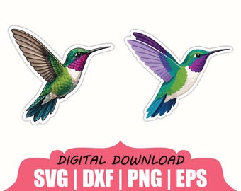 Hummingbird Sticker Svg, Dxf, Png