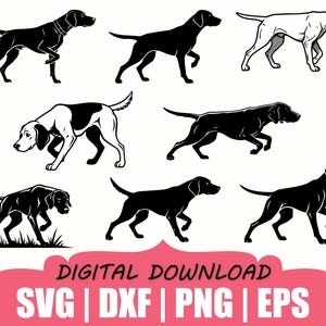 Pode incluir: Uma coleção de oito ilustrações gráficas em preto e branco apresentando várias poses de cães de caça em movimento. O conjunto inclui silhuetas pretas sólidas e desenhos de linhas detalhados, com um cão na relva. Texto: DIGITAL DOWNLOAD SVG | DXF | PNG | EPS.