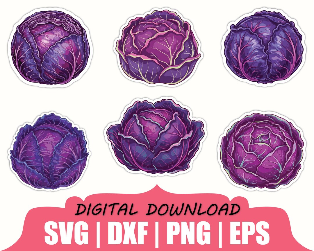 Purple Cabbage Sticker Svg, Dxf, Png - Etsy