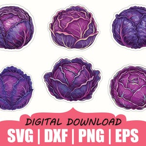 May include: Six vibrant stickers of purple cabbages, each with detailed leaf textures and a realistic appearance. The stickers are arranged on a white background, with a pink banner at the bottom that reads "DIGITAL DOWNLOAD" and lists file formats.