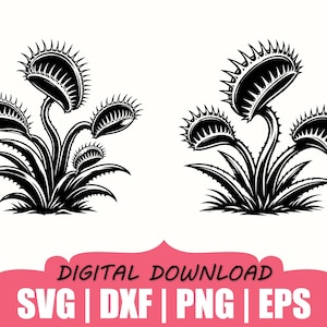 Pode incluir: Duas ilustrações gráficas a preto e branco de plantas dionaeas, cada uma com várias armadilhas espinhosas abertas em caules que surgem de uma base de folhas pontiagudas. O texto abaixo diz DIGITAL DOWNLOAD SVG | DXF | PNG | EPS.