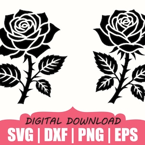 Può includere: Due illustrazioni a silhouette nera di rose con steli, spine e foglie. Sotto le rose c'è un banner rosa contenente il testo nero: DIGITAL DOWNLOAD SVG | DXF | PNG | EPS. Il design presenta forme nere solide ad alto contrasto.