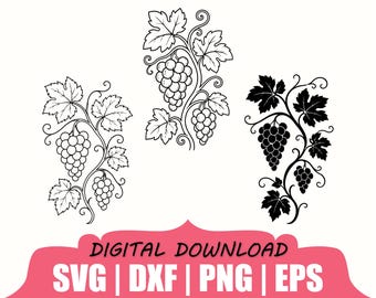Grapes Vine Silhouette, Svg, Dxf, Png