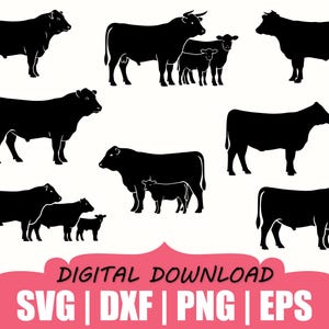 May include: A collection of black silhouettes featuring various cattle, including individual cows, bulls, and groups of cows with calves. The image includes the text DIGITAL DOWNLOAD SVG | DXF | PNG | EPS at the bottom on a pink background.